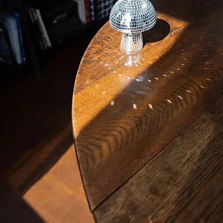 Premium 2-level On Rhine, Great Location شقة