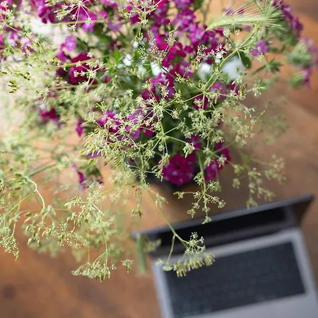 Premium 2-level On Rhine, Great Location Lejlighed Duisburg