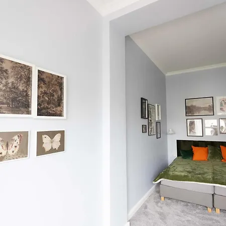 Premium 2-level On Rhine, Great Location * دوسبرغ