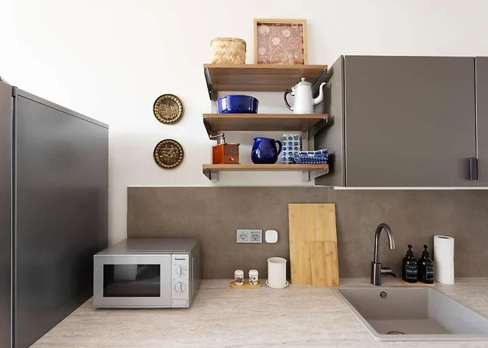 Appartement Premium 2-level On Rhine, Great Location *