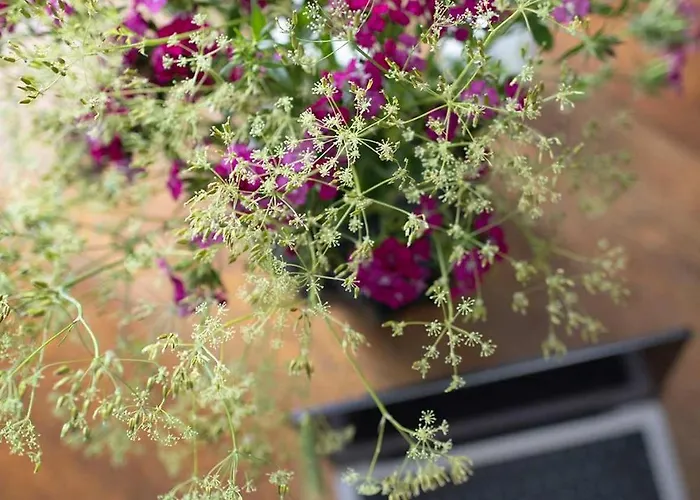 Premium 2-level On Rhine, Great Location Appartement Duisburg